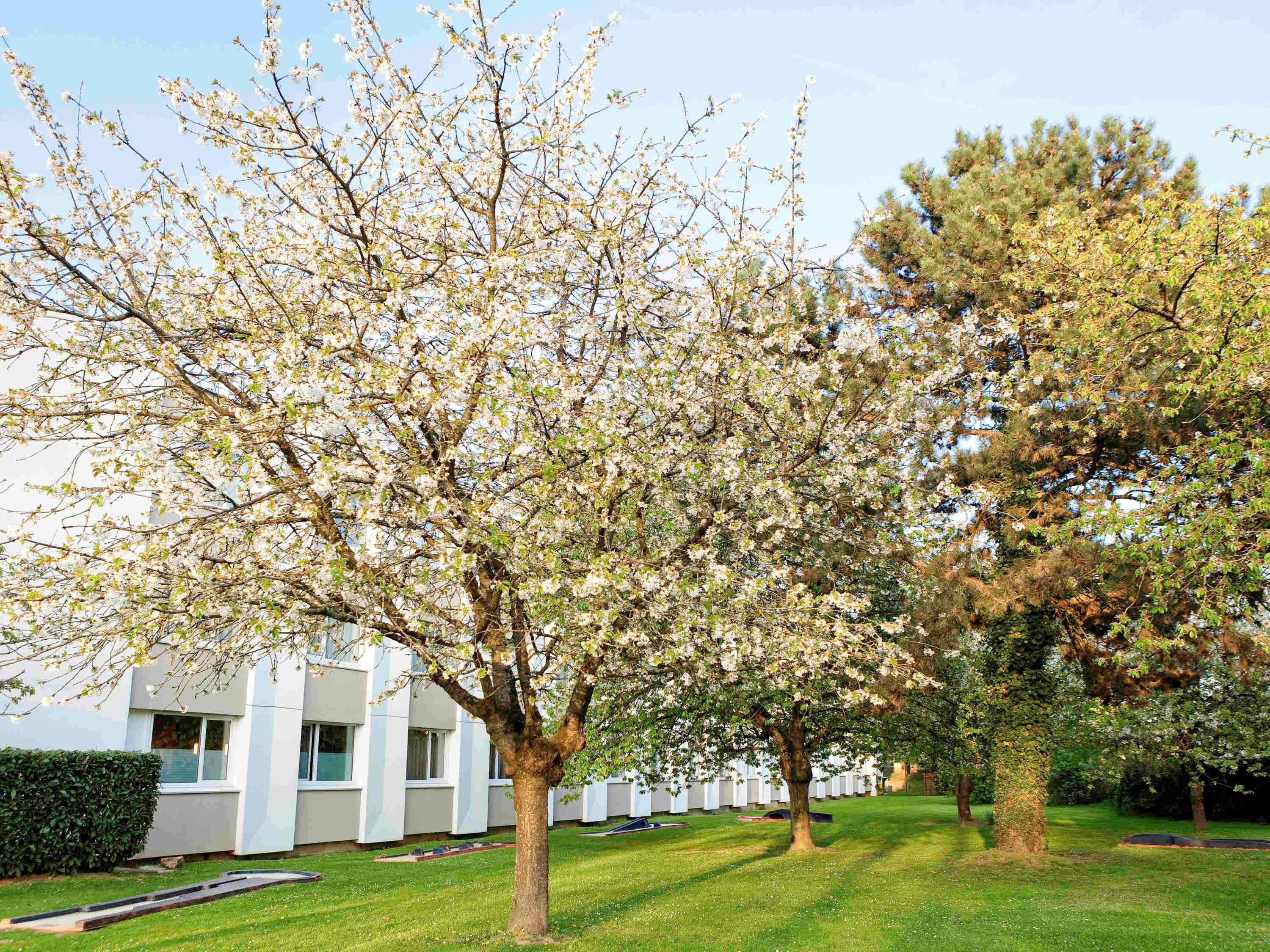 Novotel 4* Saclay